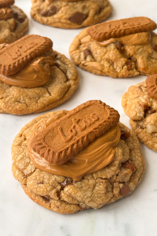 biscoff cookies blog